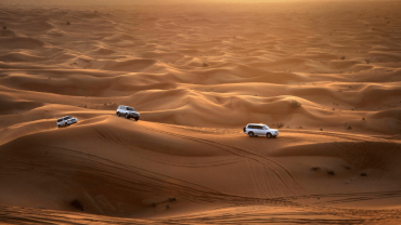Abu Dhabi Sunset Desert Safari with BBQ, Camel Ride & Sandboarding