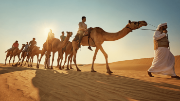 تجربة سباقات الهجن في أبو ظبي عبر الكثبان الرملية البرية مع التنقل في سيارة جيب حديثة من تويوتا لاند كروزر