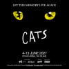 Cats - The Musical in Abu Dhabi