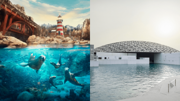 كومبو: عالم البحار+ متحف اللوفر في أبوظبي