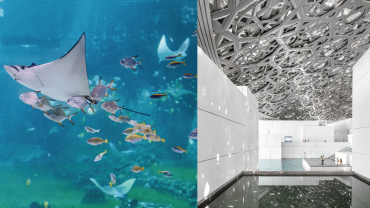 تذاكر كومبو: حوض السمك الوطني + متحف اللوفر أبوظبي