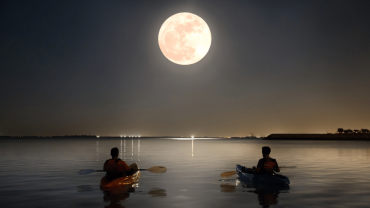 جولة القوارب في مانجروف الشرقية  تحت ضوء القمر